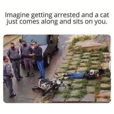 FB_IMG_1742239008500.jpg